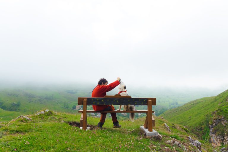 Alojamientos petfriendly en los Pirineos: disfruta con la mejor compañía